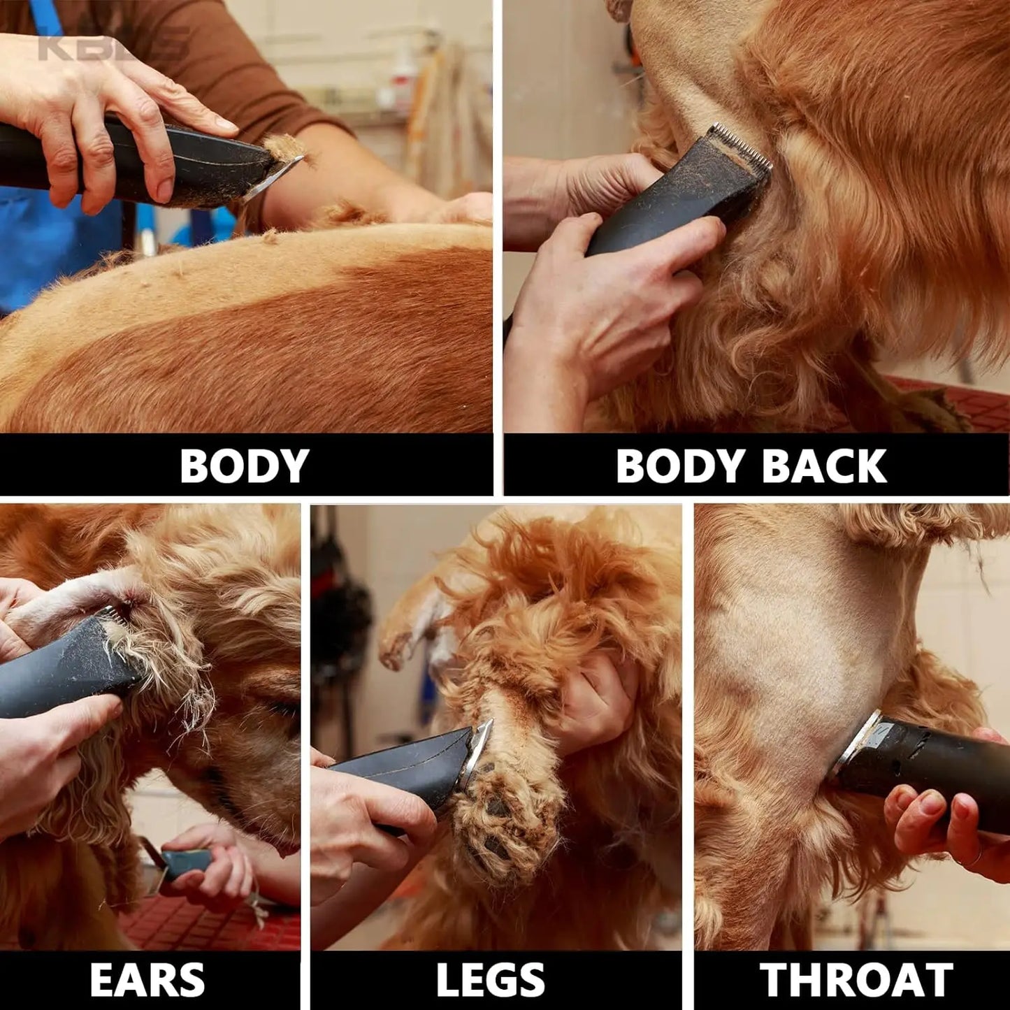 4F,5F,7F,9#,10#,30#,40# Professional Pet Dog Clipper Blade Fit For Most Andis,Oster A5,Wahl KM Clippers Animals Clippers